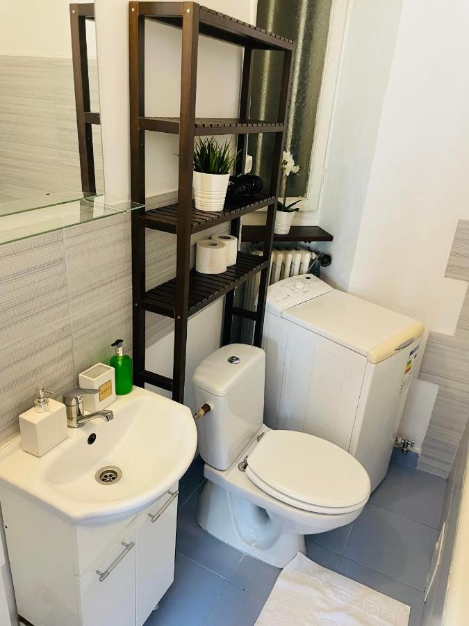 Cismigiu Park View Apartment บูคาเรสต์ ภายนอก รูปภาพ